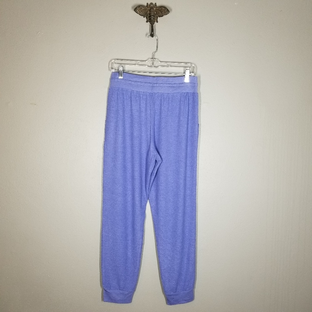 Wildfox | NWT Everyday Cozy Wedgewood Blue Joggers - Picture 3 of 9